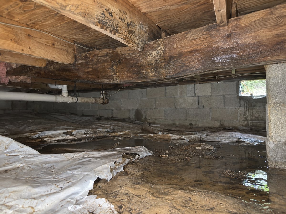 Standing water and moisture damage to floor joists in an unrepaired crawl space